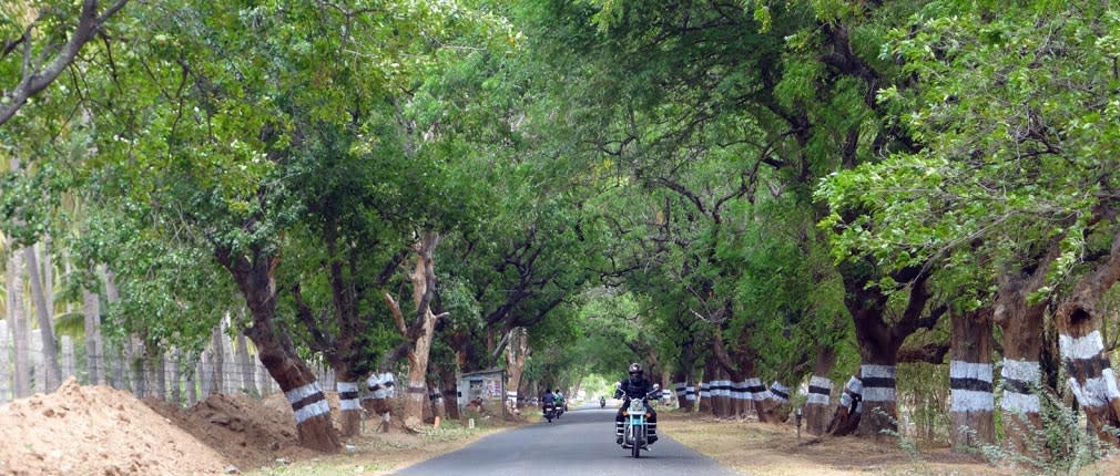 Udumalpet_Munnar_Road